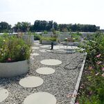 Liebald Aufermann 01