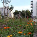 Liebald Aufermann 02