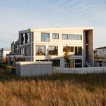 SCHINDHELM STRASSA╠êCKER  Hoernisch  reduziert