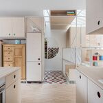 IFUB Hausfuchs 13595 b web