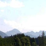 Gestalterische Spielräume im Wohnungsbau